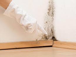 Mold Odor Removal Services in Ben Wheeler, TX